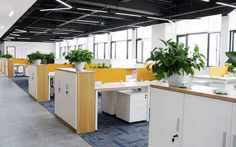 绿色环保办公空间